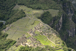 Peru_and_Bolivia_2025 (56/66)